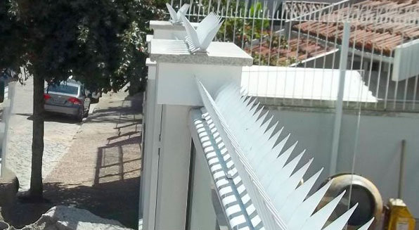 Concertina lança protetora